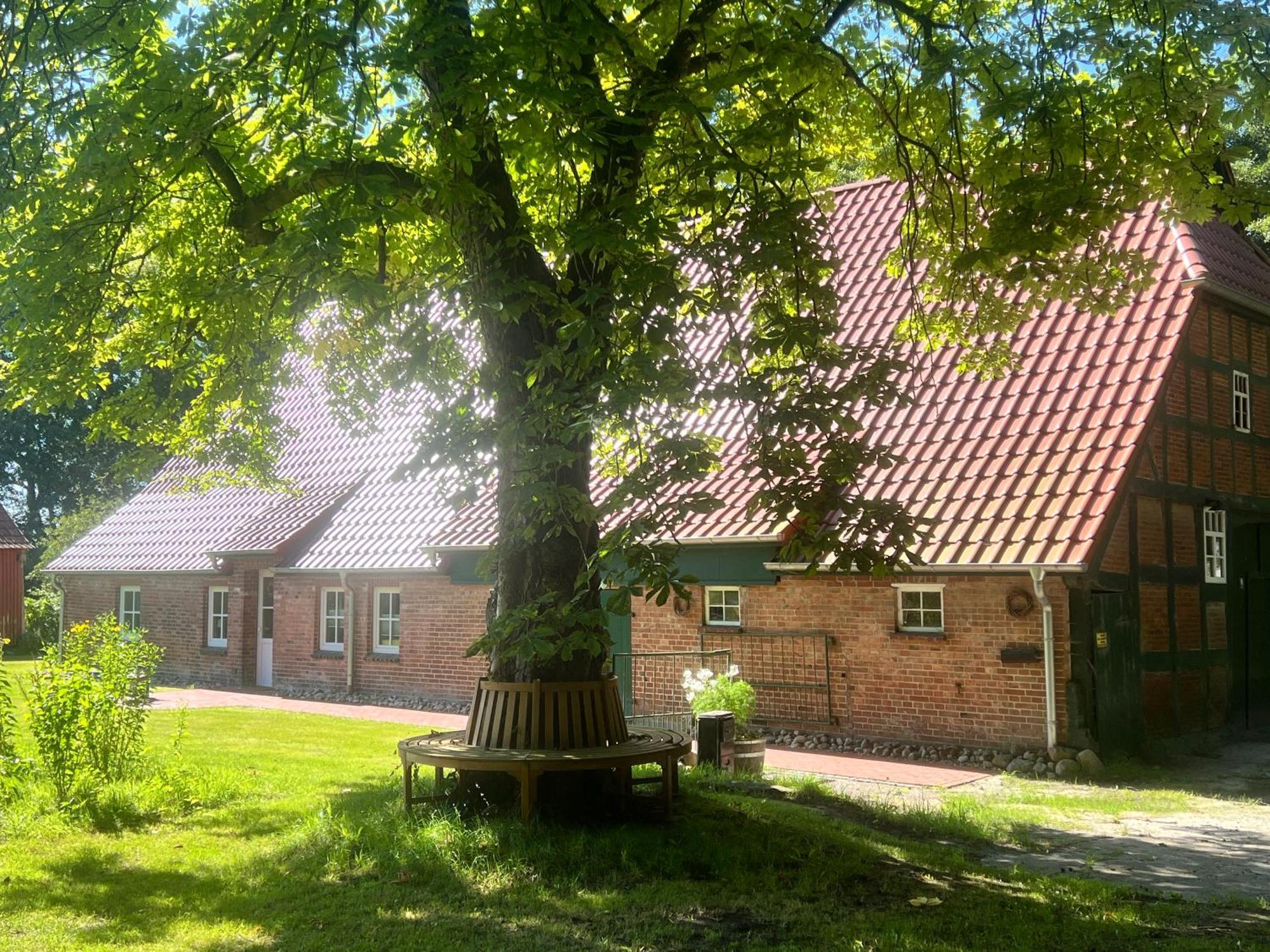 Ferienwohnung Mit Garten In Meyenburg - Keine Monteure Schwanewede Εξωτερικό φωτογραφία